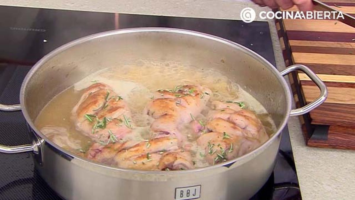 karl6917 conejo setas p2