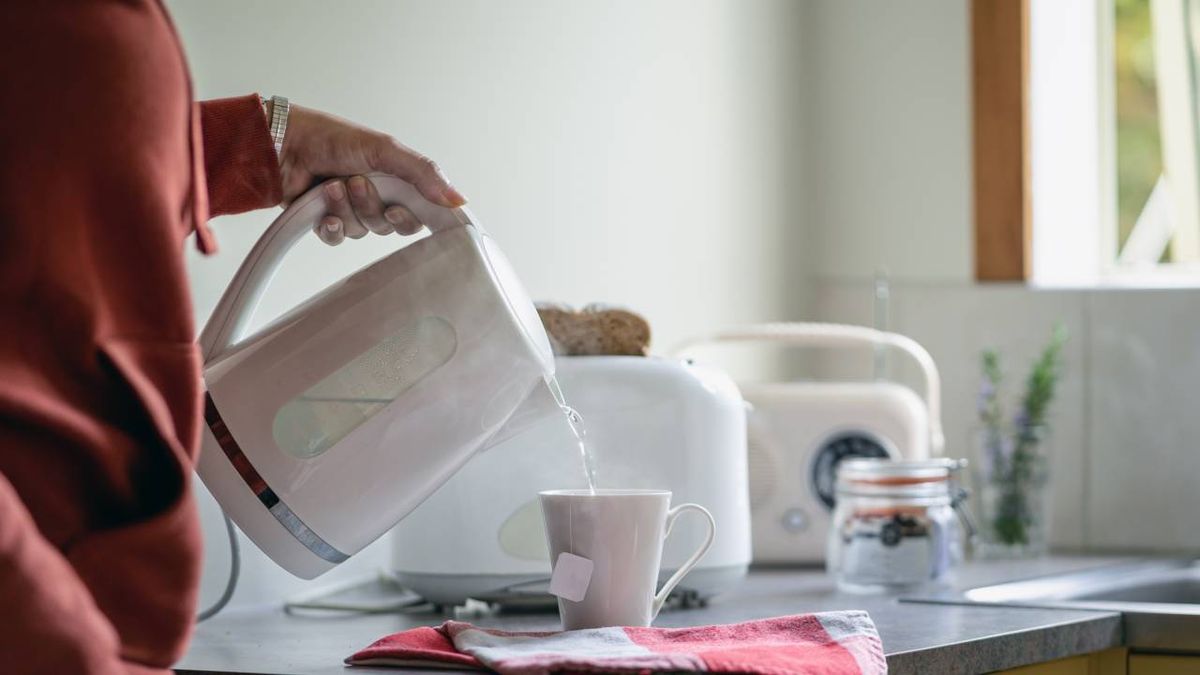 Pueden representar un verdadero riesgo para nuestro hogar si acumulan residuos