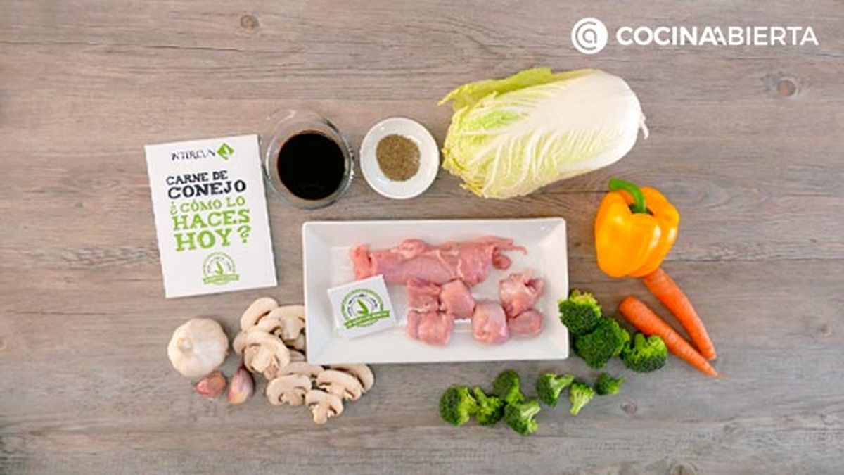 CTIS0865 receta wok de carne de conejo con verduras ingredientes ca