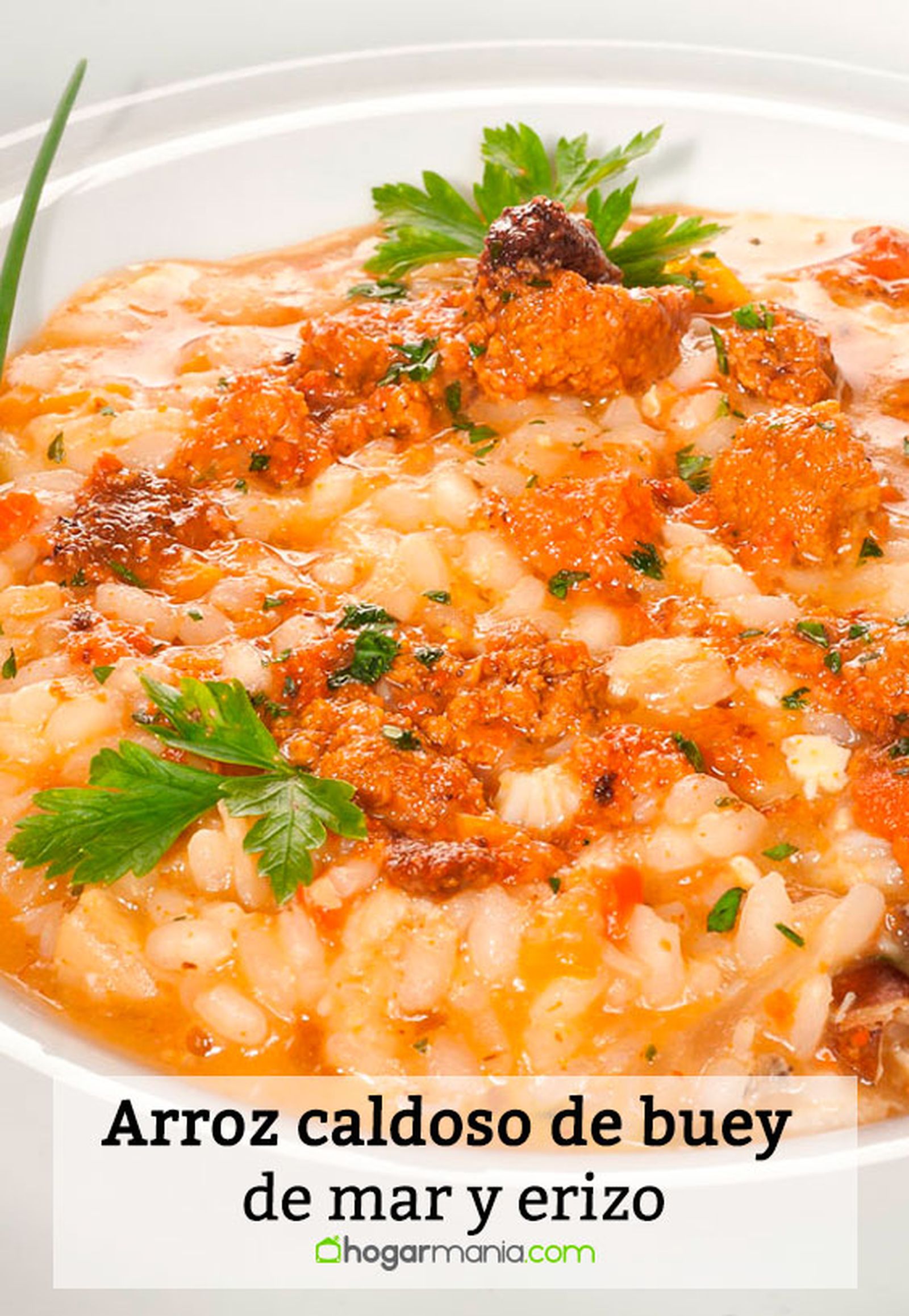 arroz caldoso buey mar erizo pin