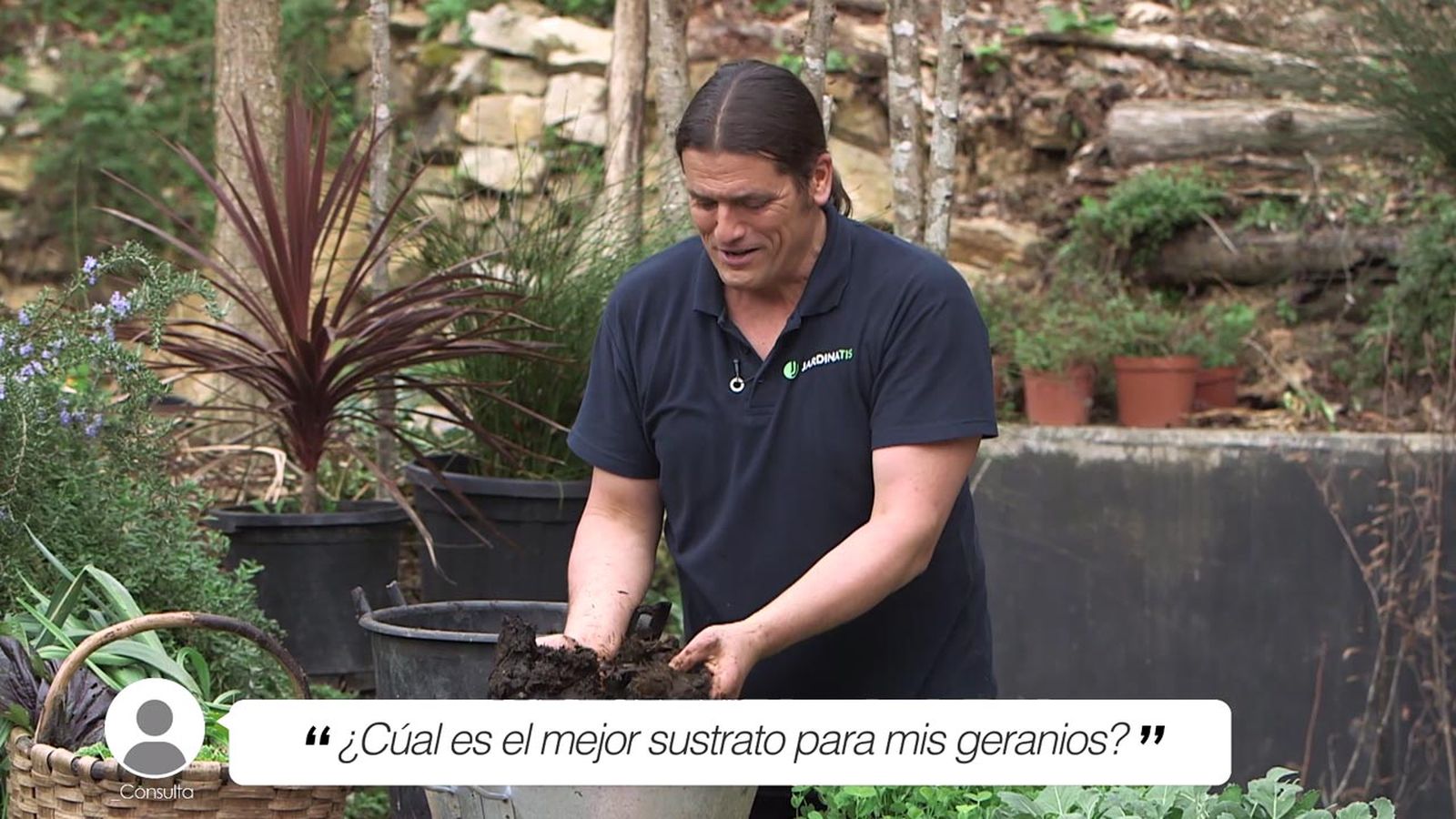 brico 1013 briconsulta sustrato geranios