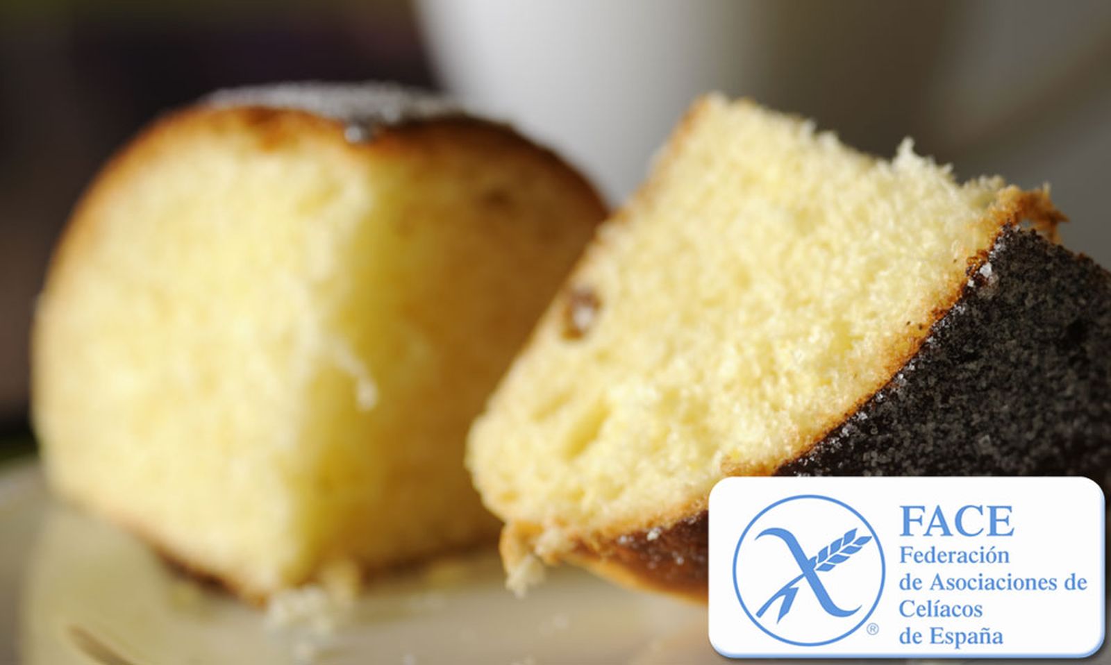 bizcocho celiacos