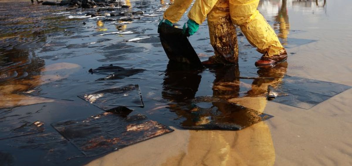 Voluntarios limpiando la costa oceánica de petróleo.