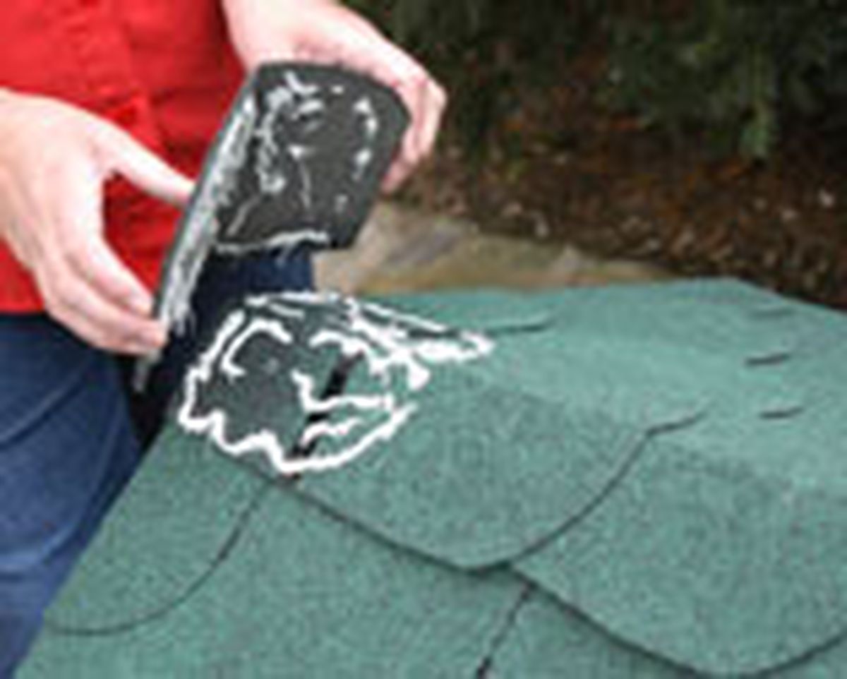 335 imper caset perro p11