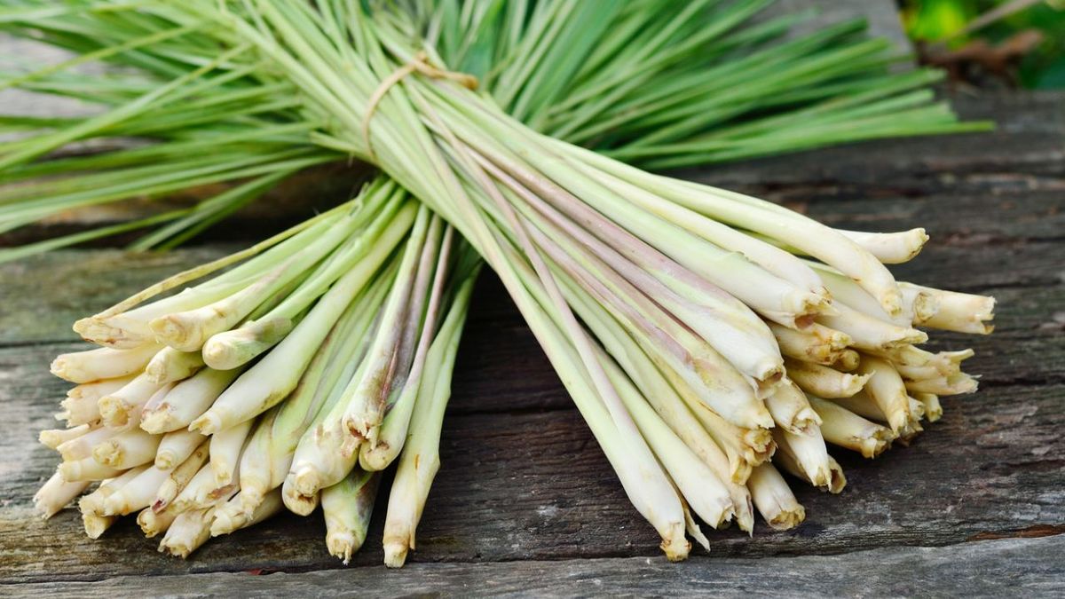 lemongrass