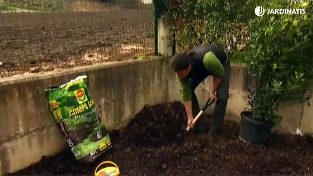 mejorar tierra para plantas setos bajos en el jardin brico 633