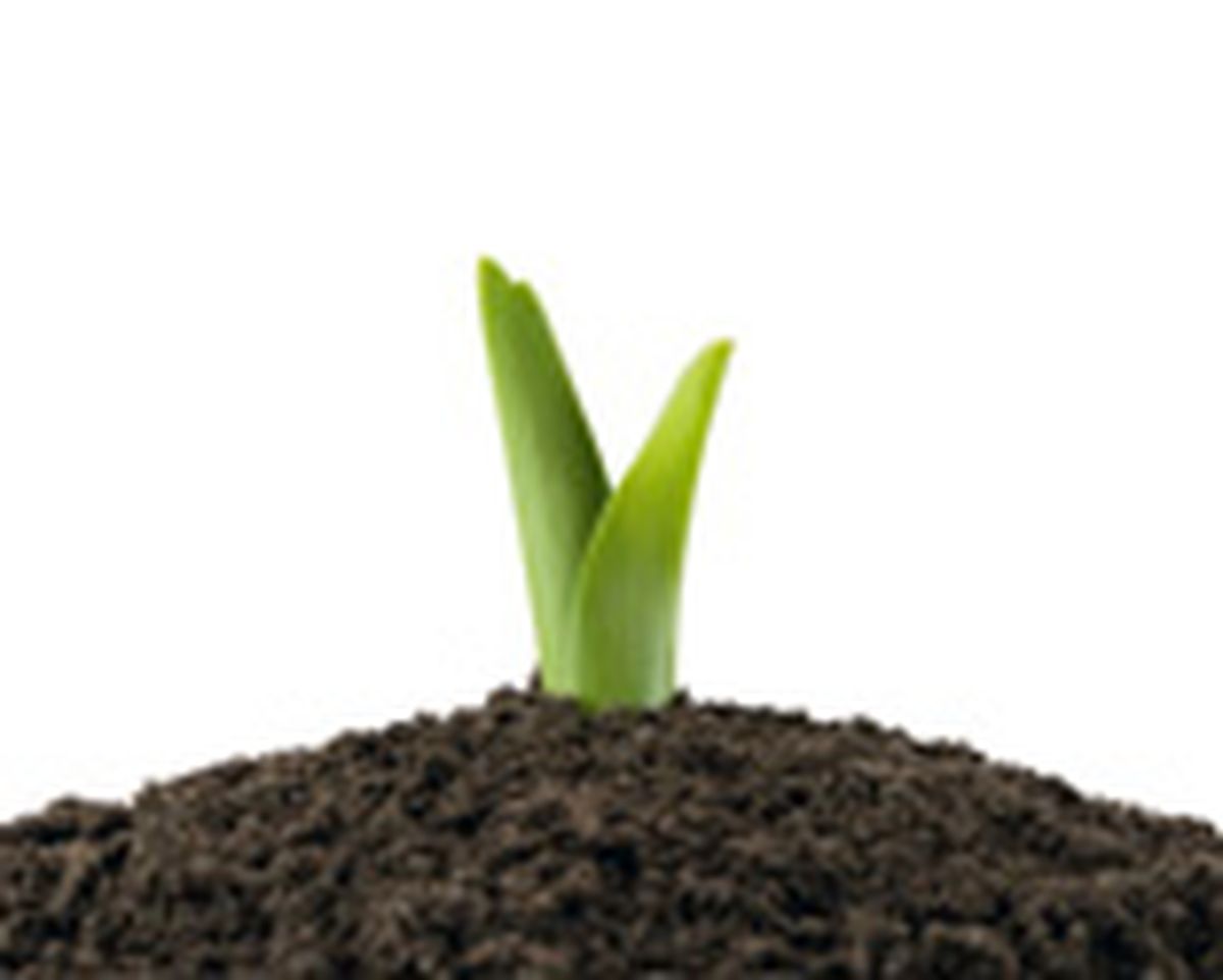 Caracteristicas del terreno paso4