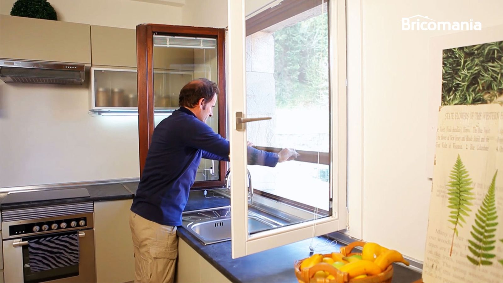 BRIC0951NV18 mosquitera ventana