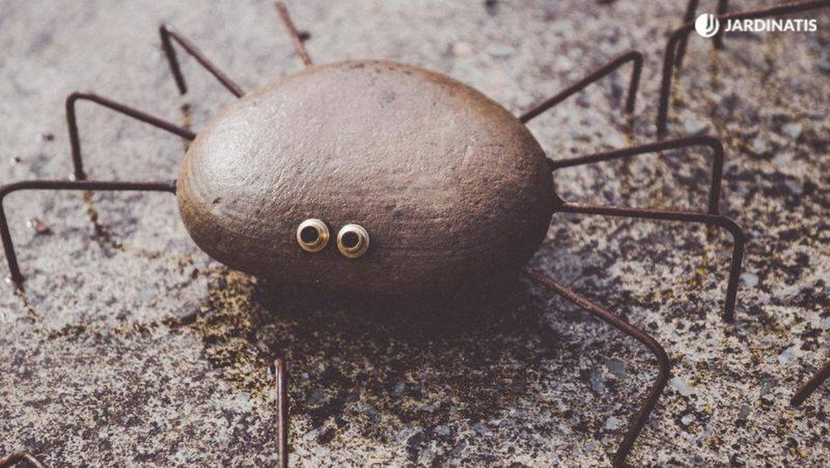 Araña de piedra