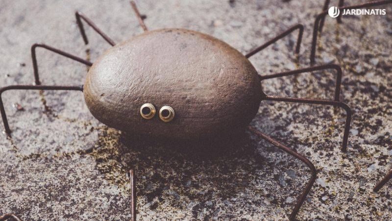 Araña de piedra