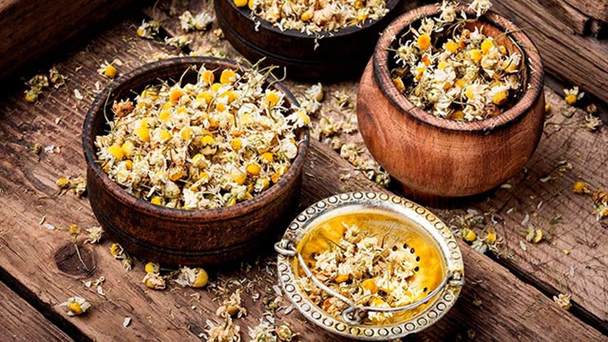 4 remedios caseros para la piel de las mascotas manzanilla