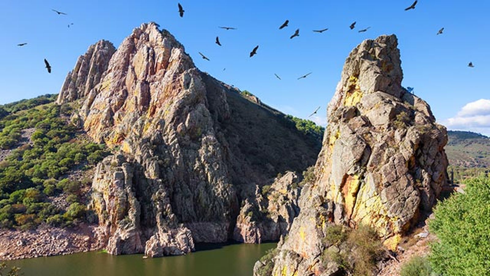 mirador del Parque Nacional de Monfrague