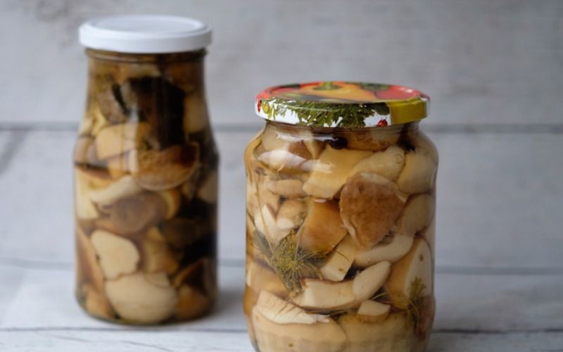 Níscalos, rebozuelos y capuchinas son las setas idóneas para conservar en escabeche