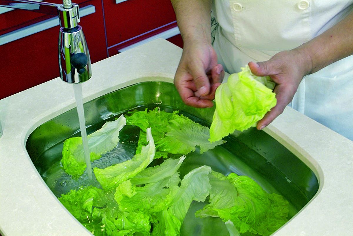 limpiar lechuga paso3