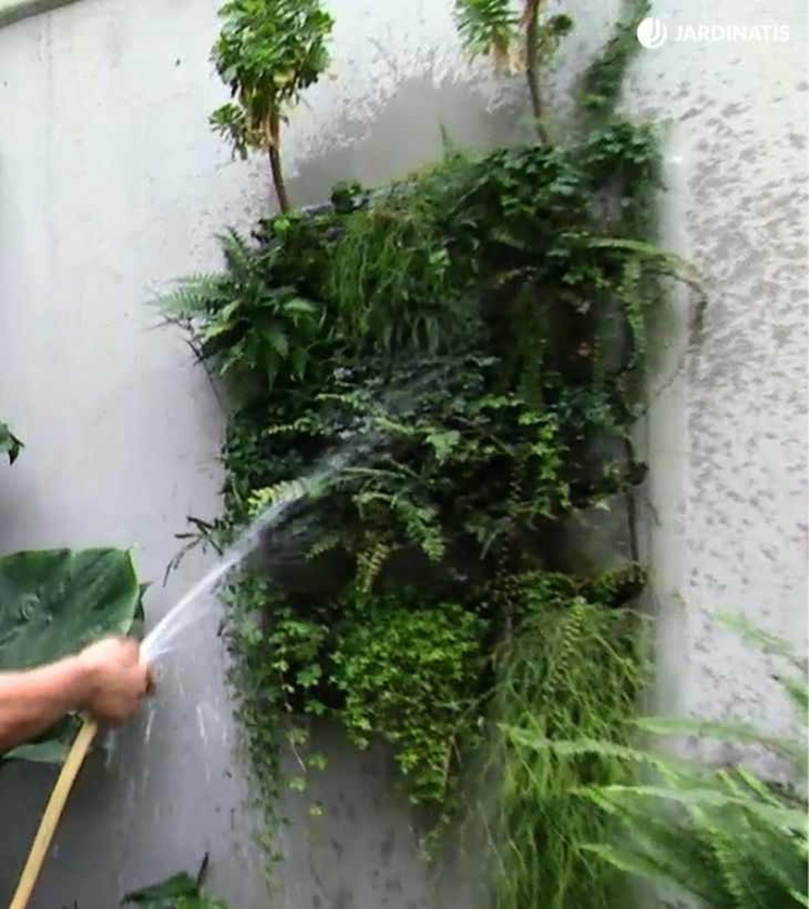 Jardín vertical