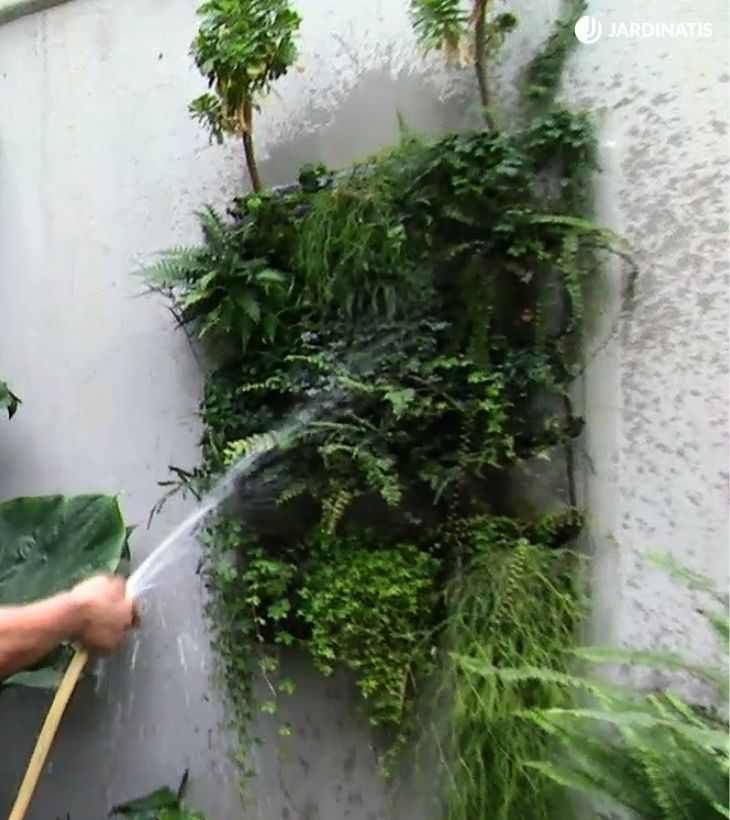 Jardín vertical