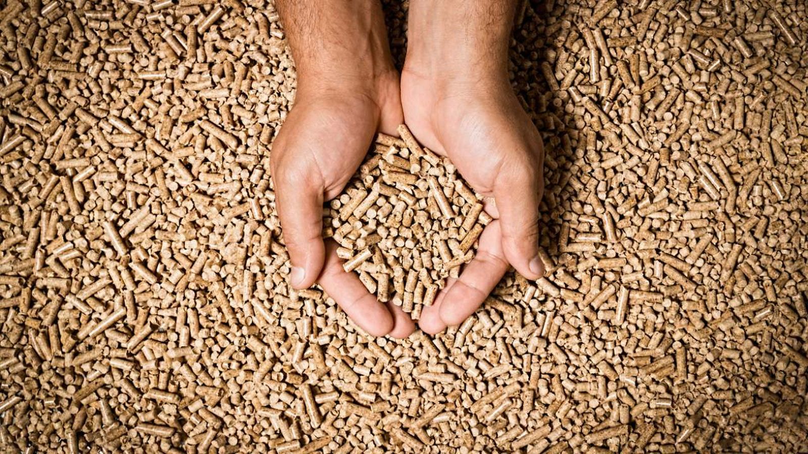 se puede usar pellets en una chimenea normal xl