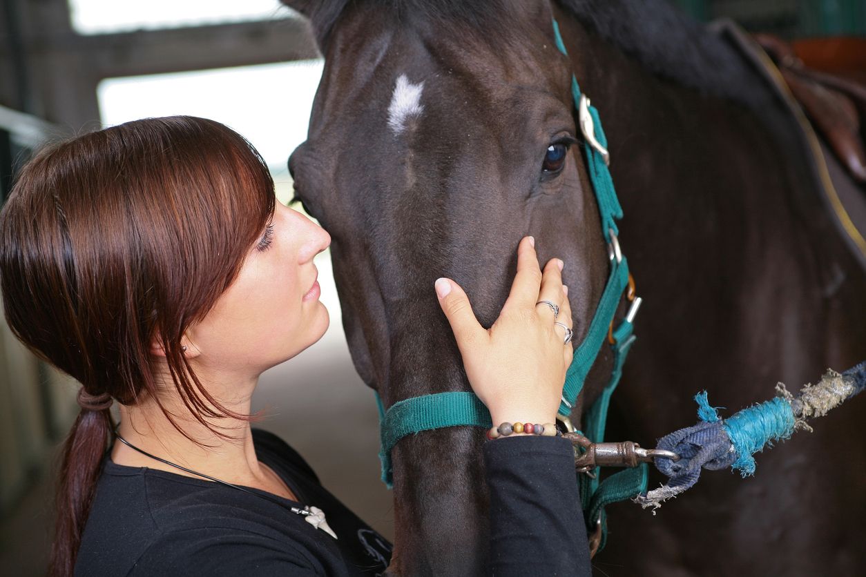 caballo terapia invidentes1