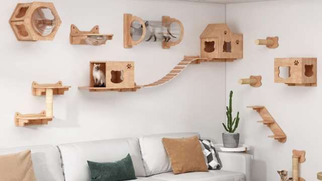 gimnasio para gatos de amazon