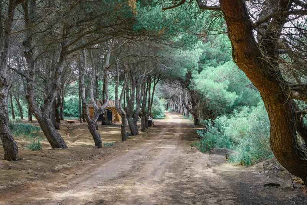 Camí de Cavalls en Menorca