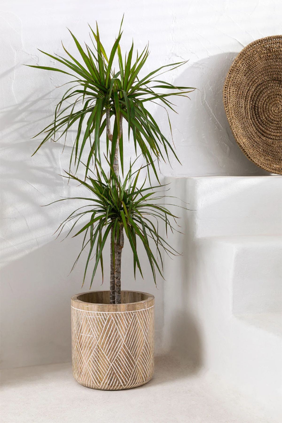 Macetero en Madera de Mango Chaco