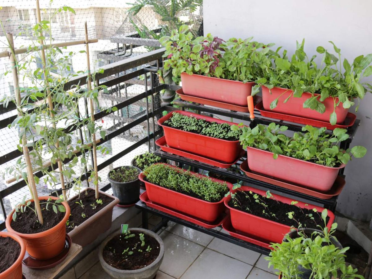 Escoge contenedores de un tamaño adecuado.