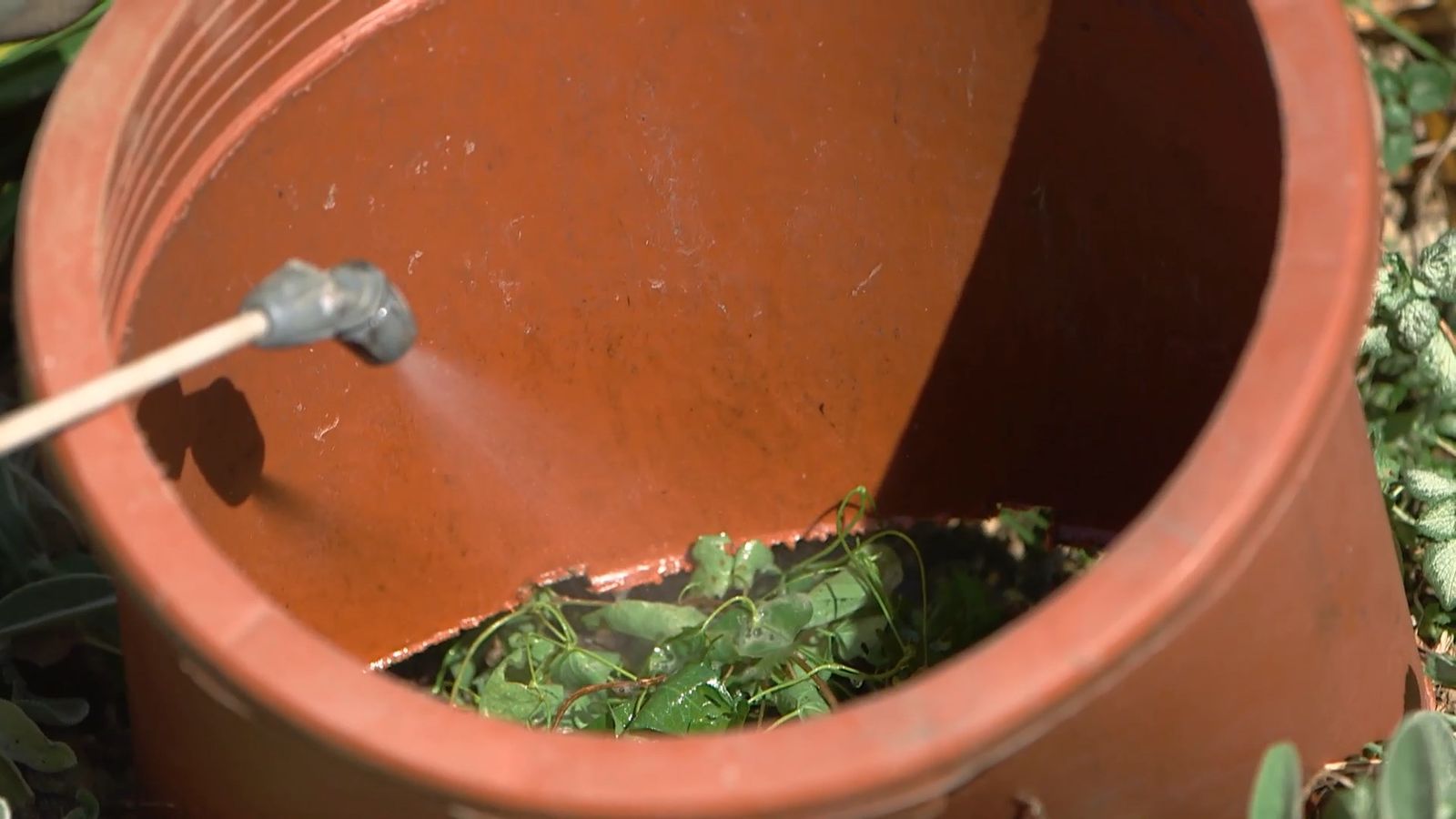 brico 965 briconsejo 3 como eliminar correhuela xl