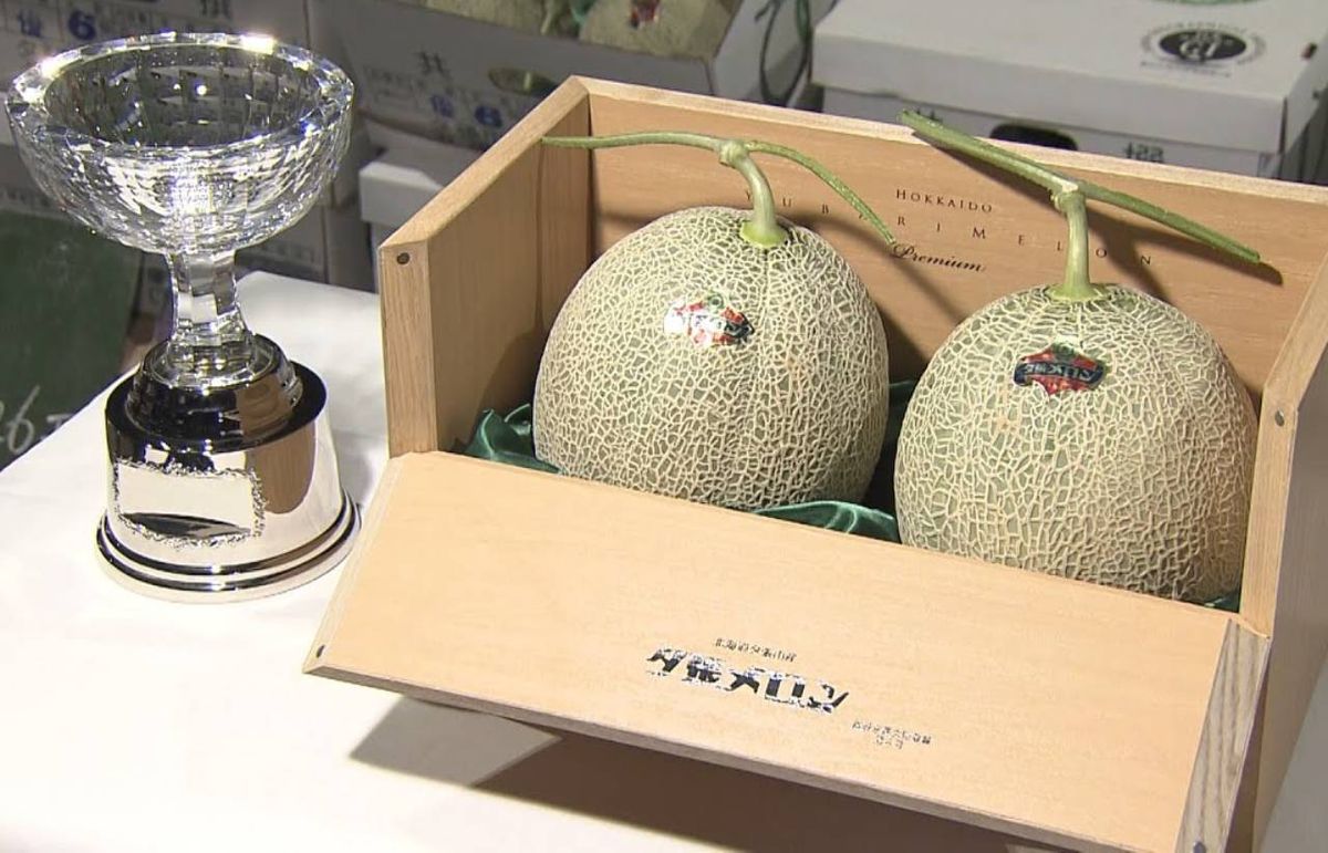 Melones Yubari, los más caros del mundo