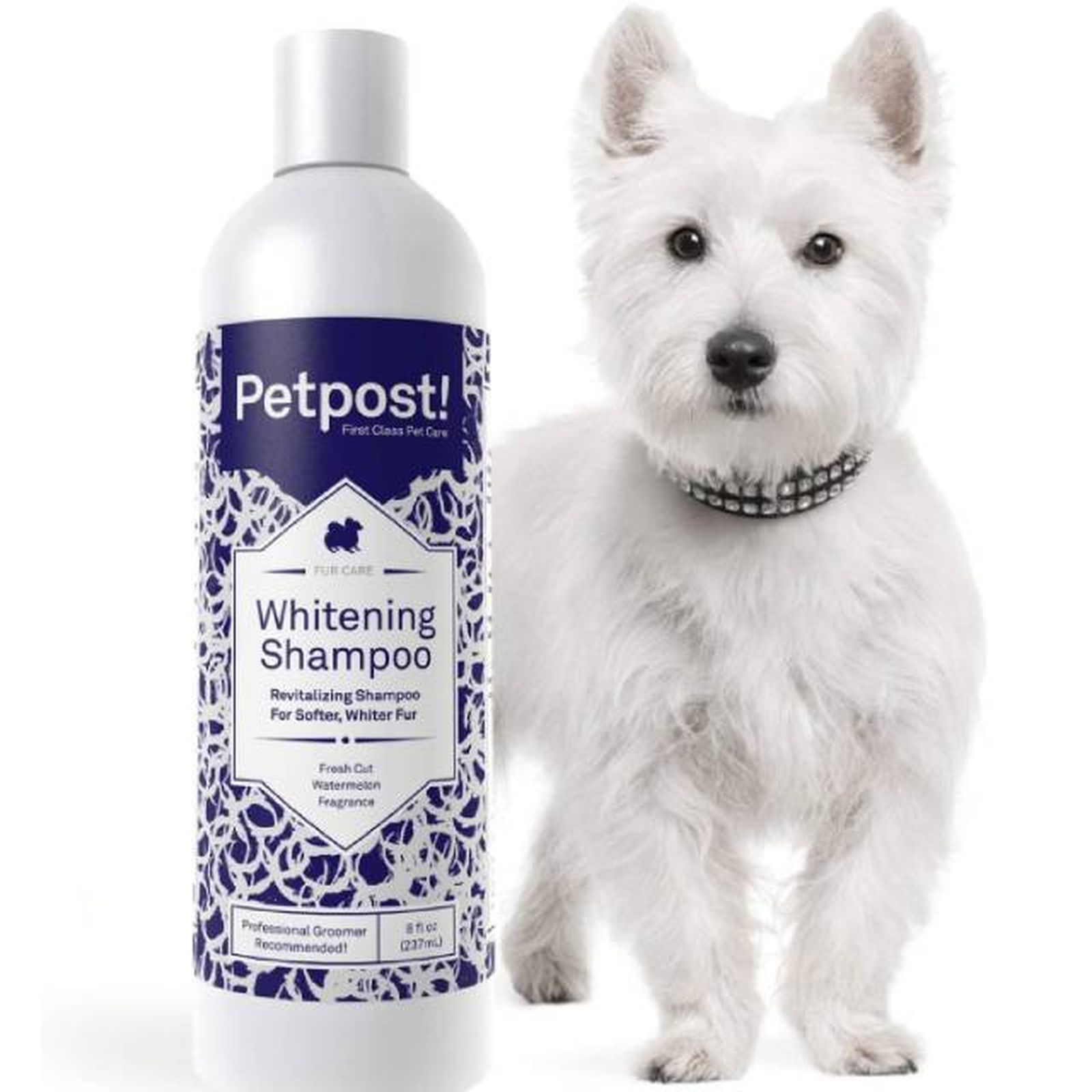 champu perros pelo blanco petpost amazon