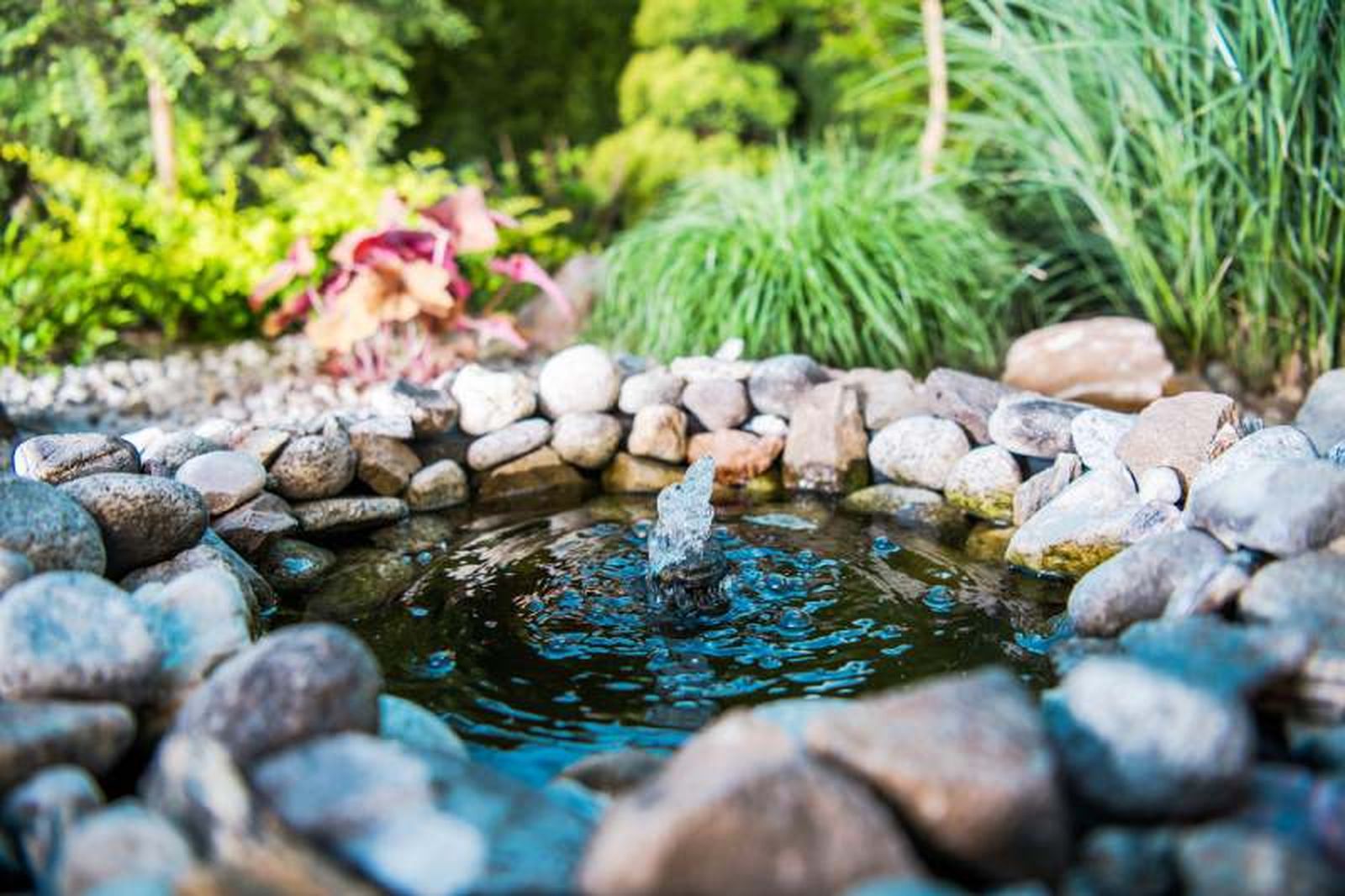 El agua en el jardín cobrará una importancia especial.