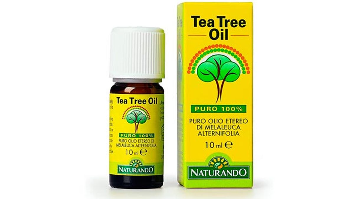 como usar aceite esencial arbol de te para granitos acne cuidados piel cabello