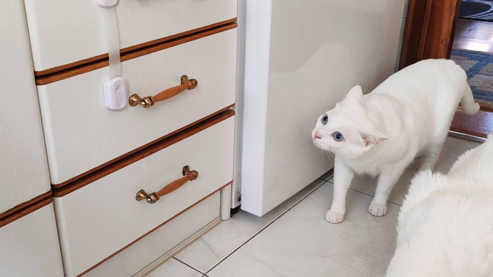 Cierres de seguridad para los armarios.