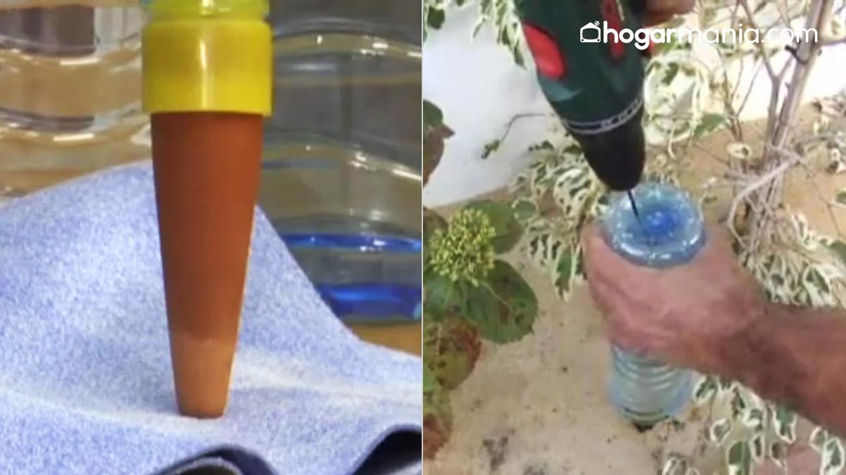 sistema riego casero con botella plastico y cono de arcilla xl