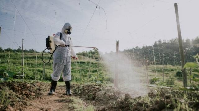 abono quimico en la huerta