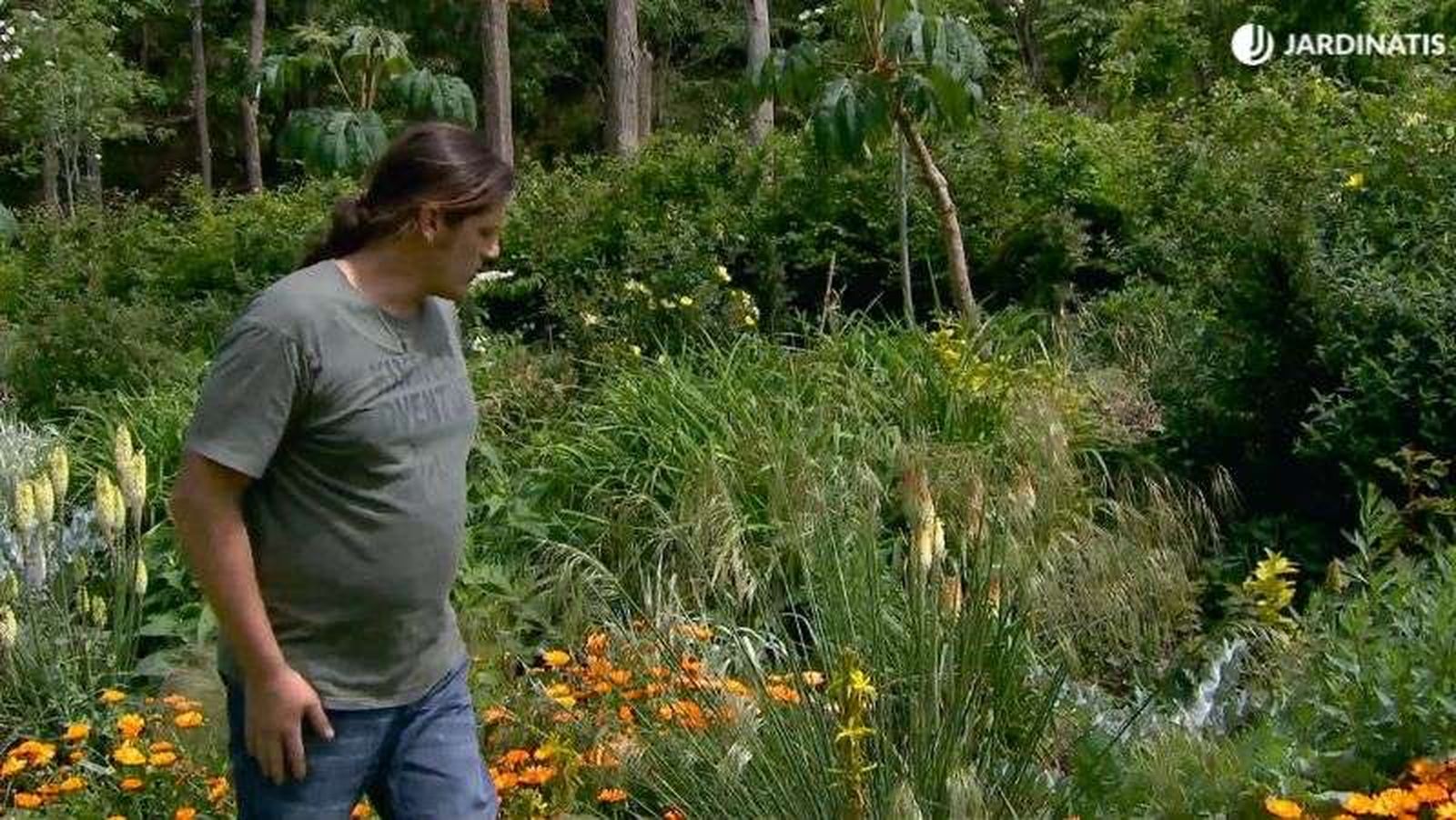 Tritoma junto a otras plantas como la Stipa gigantea y la Asphodeline lucea