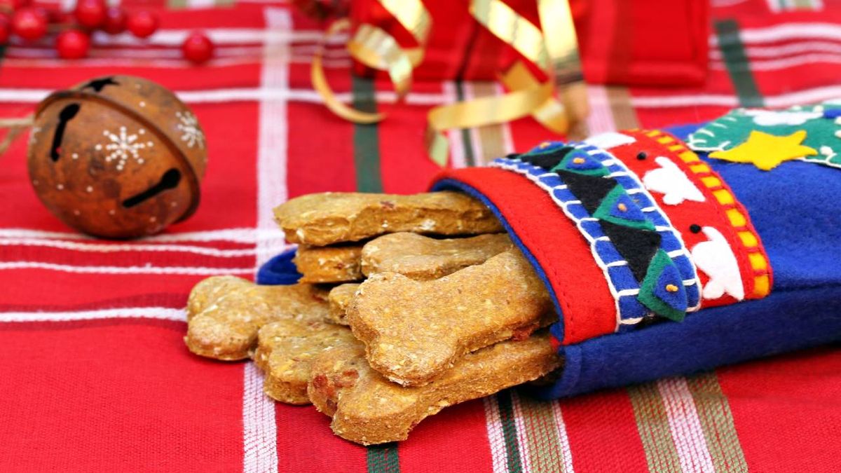Existen deliciosas recetas de turrón para perros.