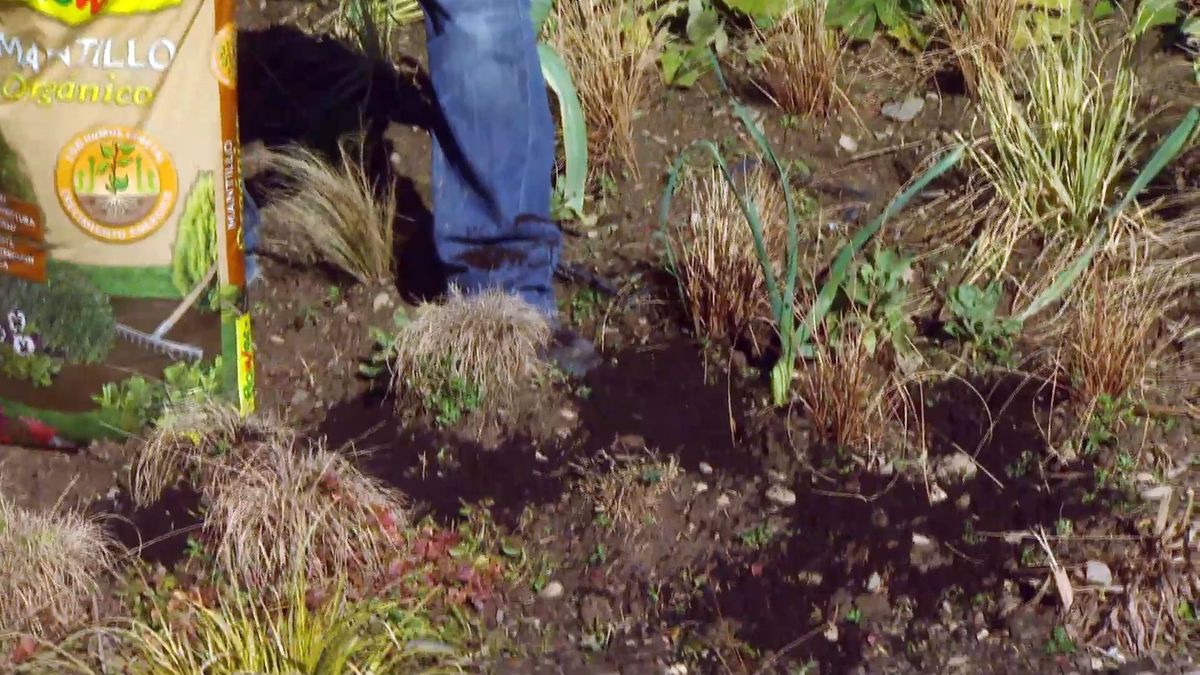 deco646 poda parterre vivaces mantillo aportar mantillo