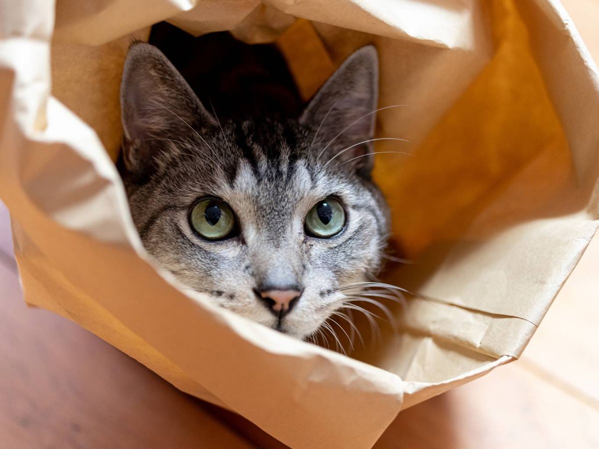 Correr o saltar puede provocar que los puntos se abran y provocar infecciones.