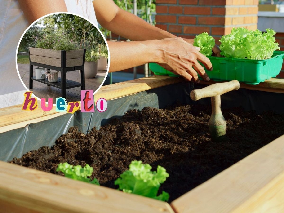 Leroy Merlin tiene disponible en su catálogo muchas mesas de cultivo muy interesantes.