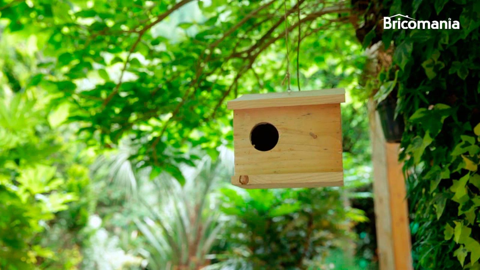 Cómo hacer una casita para pájaros