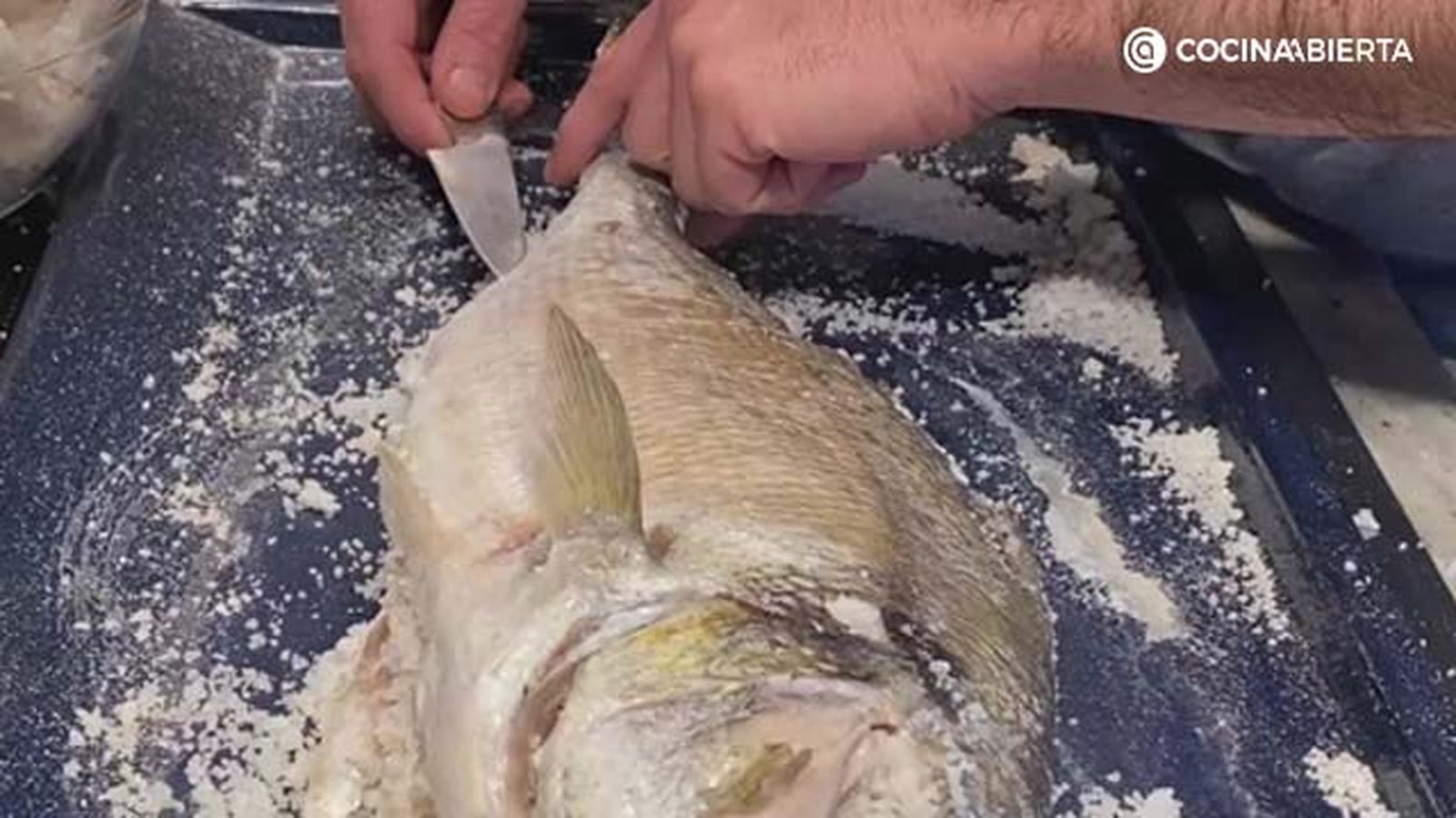 dorada a la sal 4