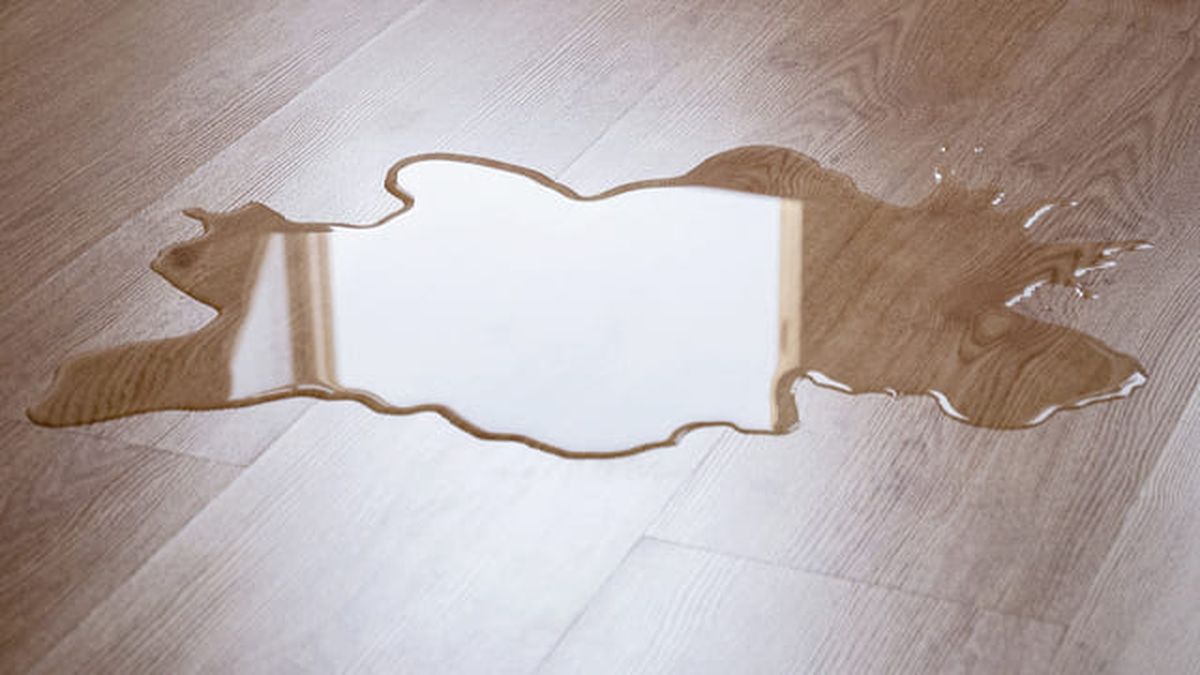 Suelo laminado o vinilico 5