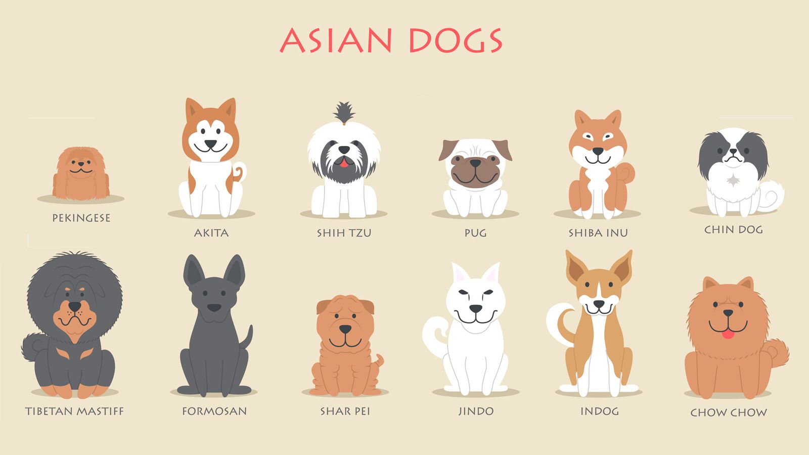 Perros asiáticos logo