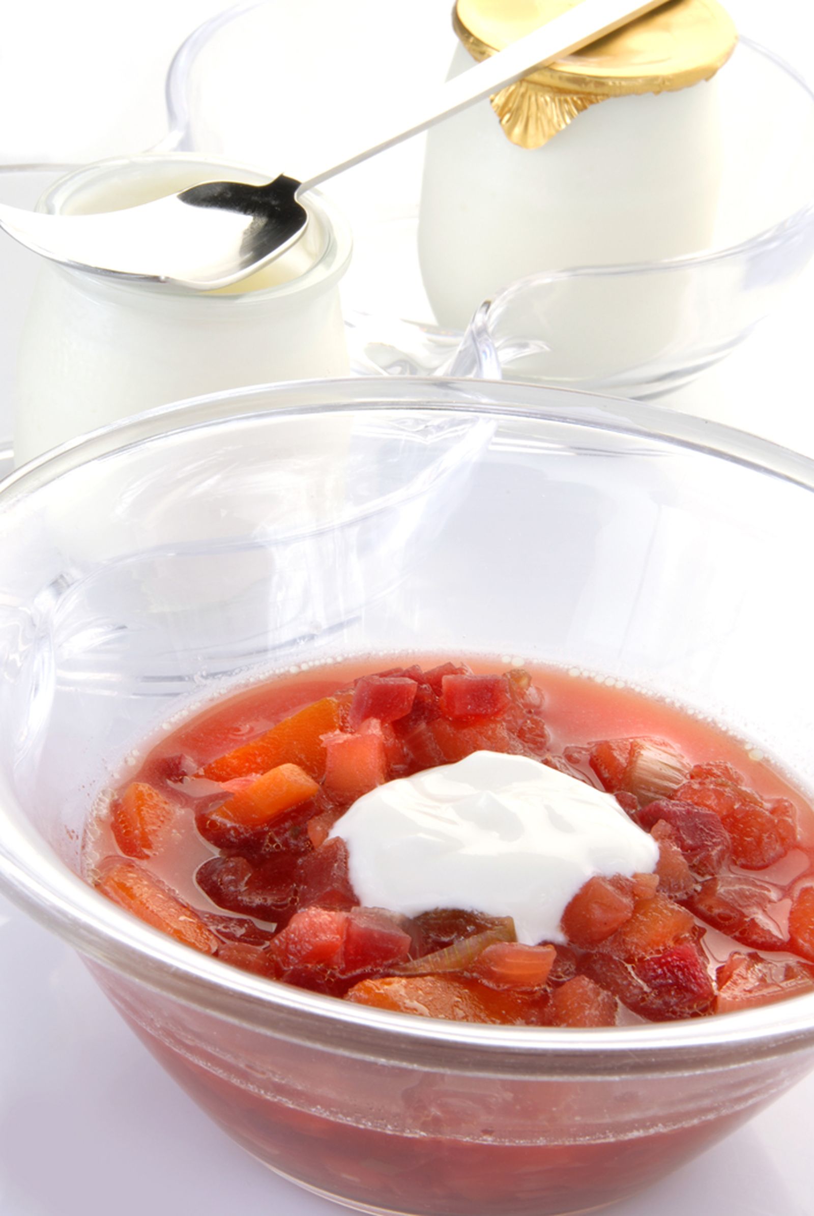 0666 sopa borscht xl