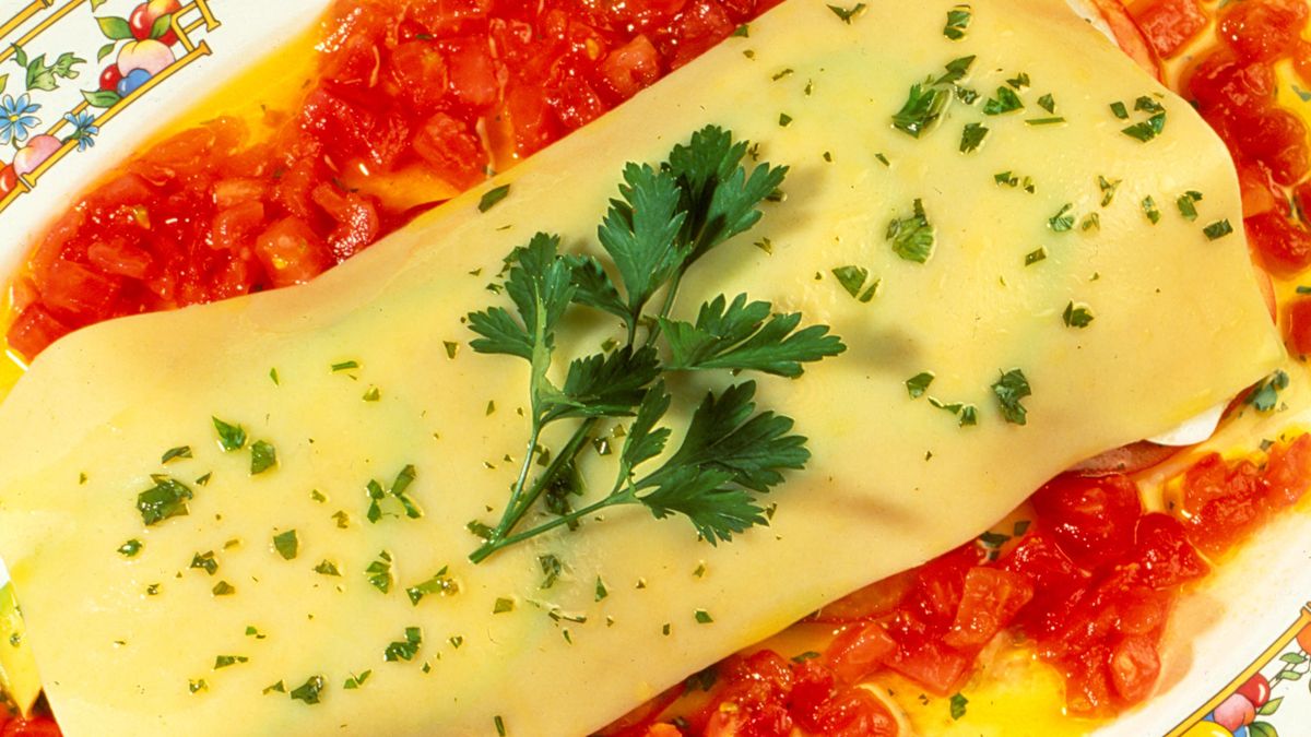 108 1 lasana fria verano xl