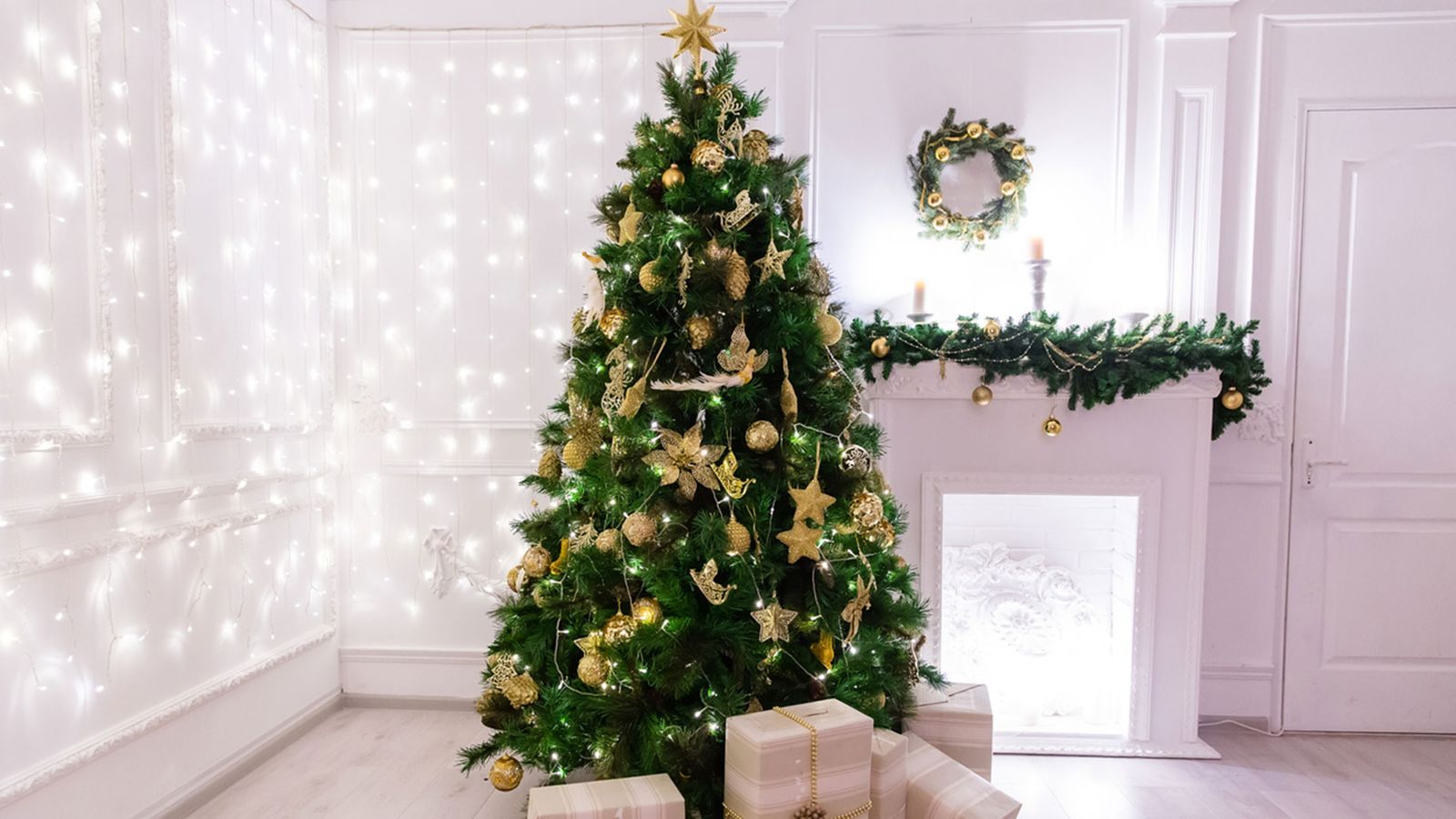 arboles de navidad xl