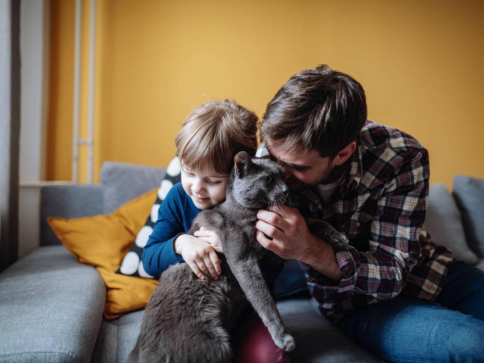 Acompañar a nuestra mascota con amor en sus últimos momentos les aporta tranquilidad y consuelo.