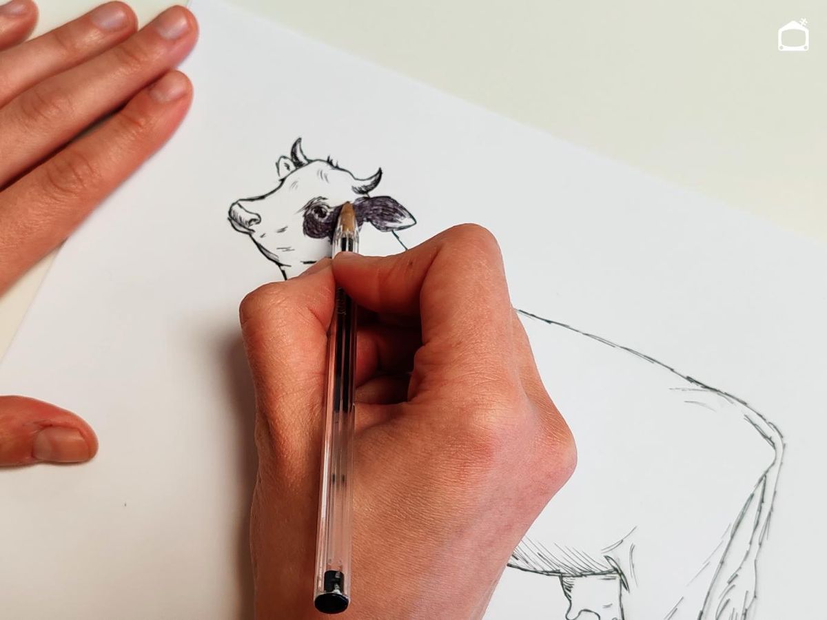 Manos dibujando una vaca realista.