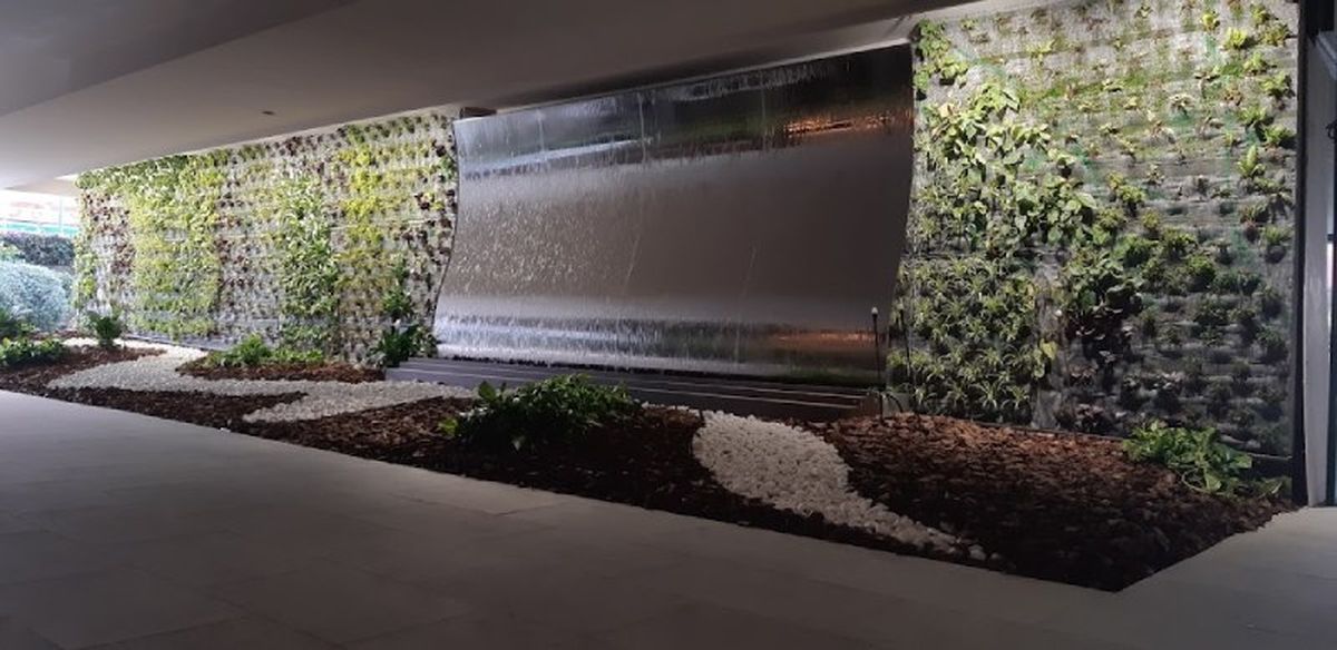 Construcción del jardín vertical