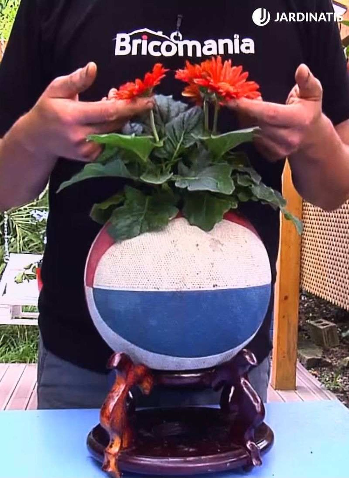 Balón de baloncesto transformado en macetero